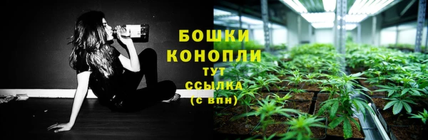 герыч Пересвет